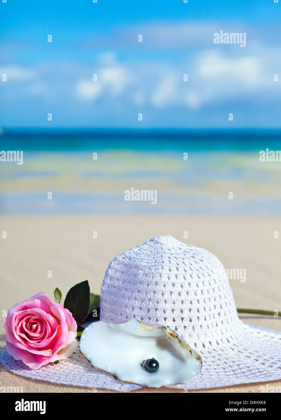 On sand before the sea the rose flower 