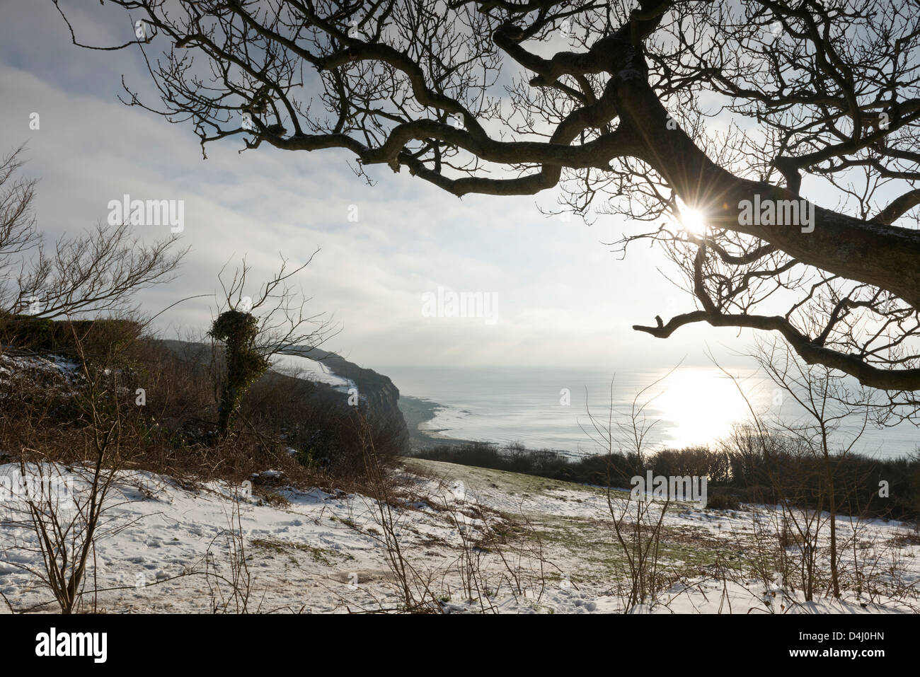 The Country Park Hastings covered in winter snow East Sussex England UK Stock Photo