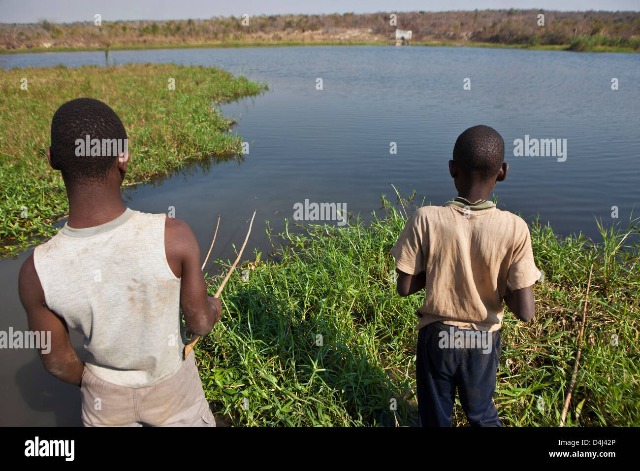 African boys fishing on the lake of Kubatsirana Farm run by a charity who help provide food and work, Mozambique. Stock Photo