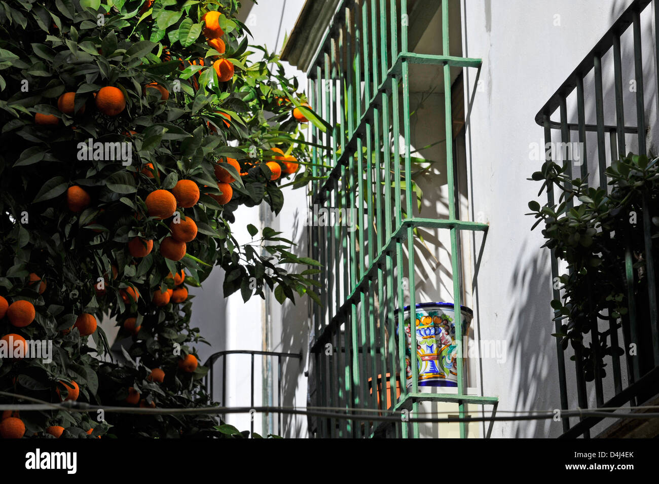 Tangerine Trees and Restaurants in Alleyway in Jerez de la Frontera