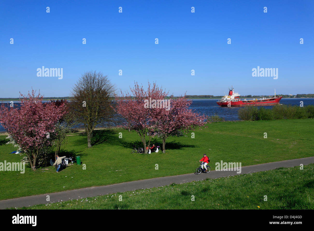 Altes Land, view to river Elbe at Gruenendeich, Lower Saxony, Germany Stock Photo