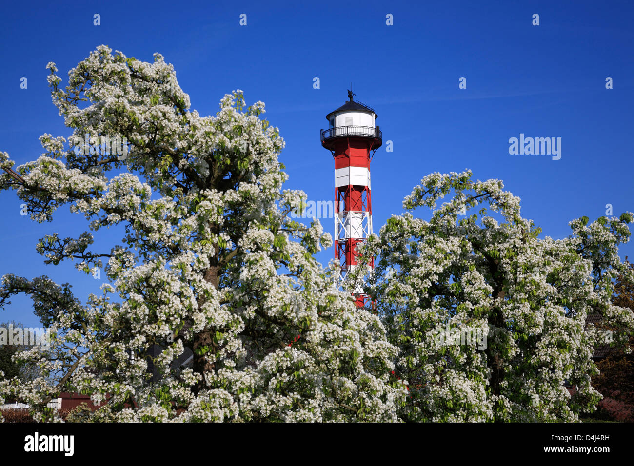 Altes Land, old lighthouse and pear blossom in Gruenendeich at river Elbe, Lower Saxony, Germany Stock Photo