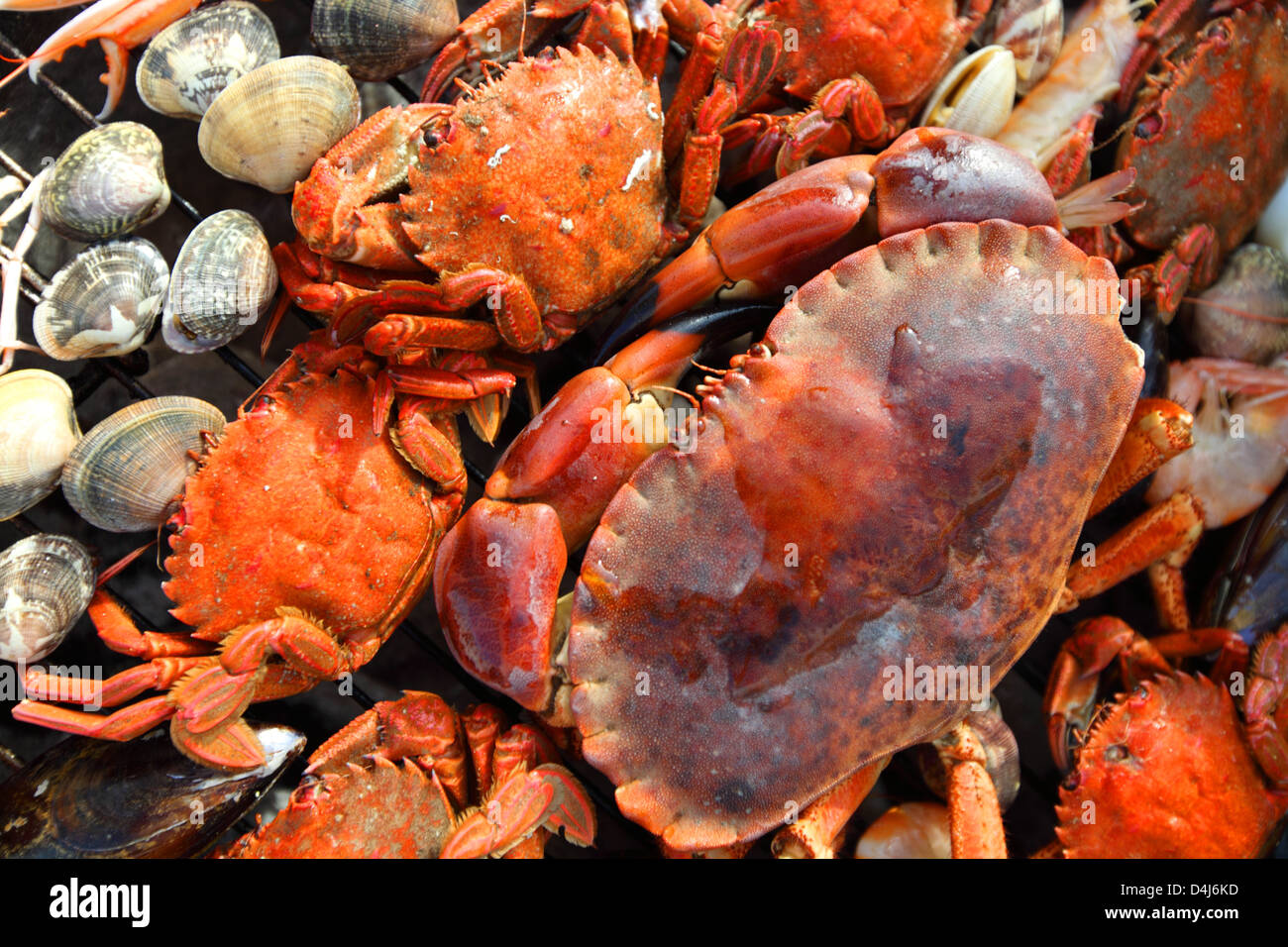 kd crabs