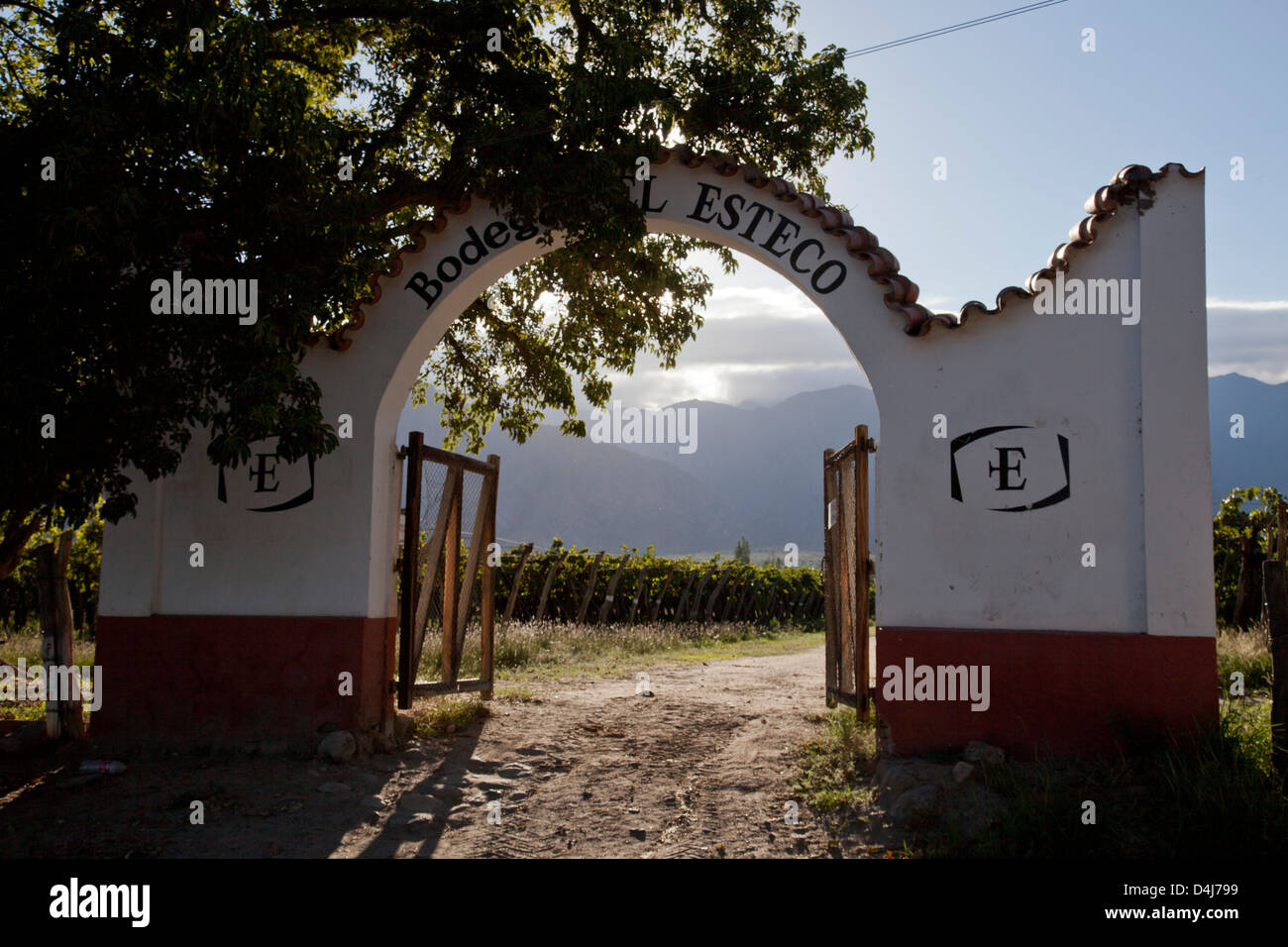 Vineyards in the Cafayate region of Salta, Argentina Stock Photo