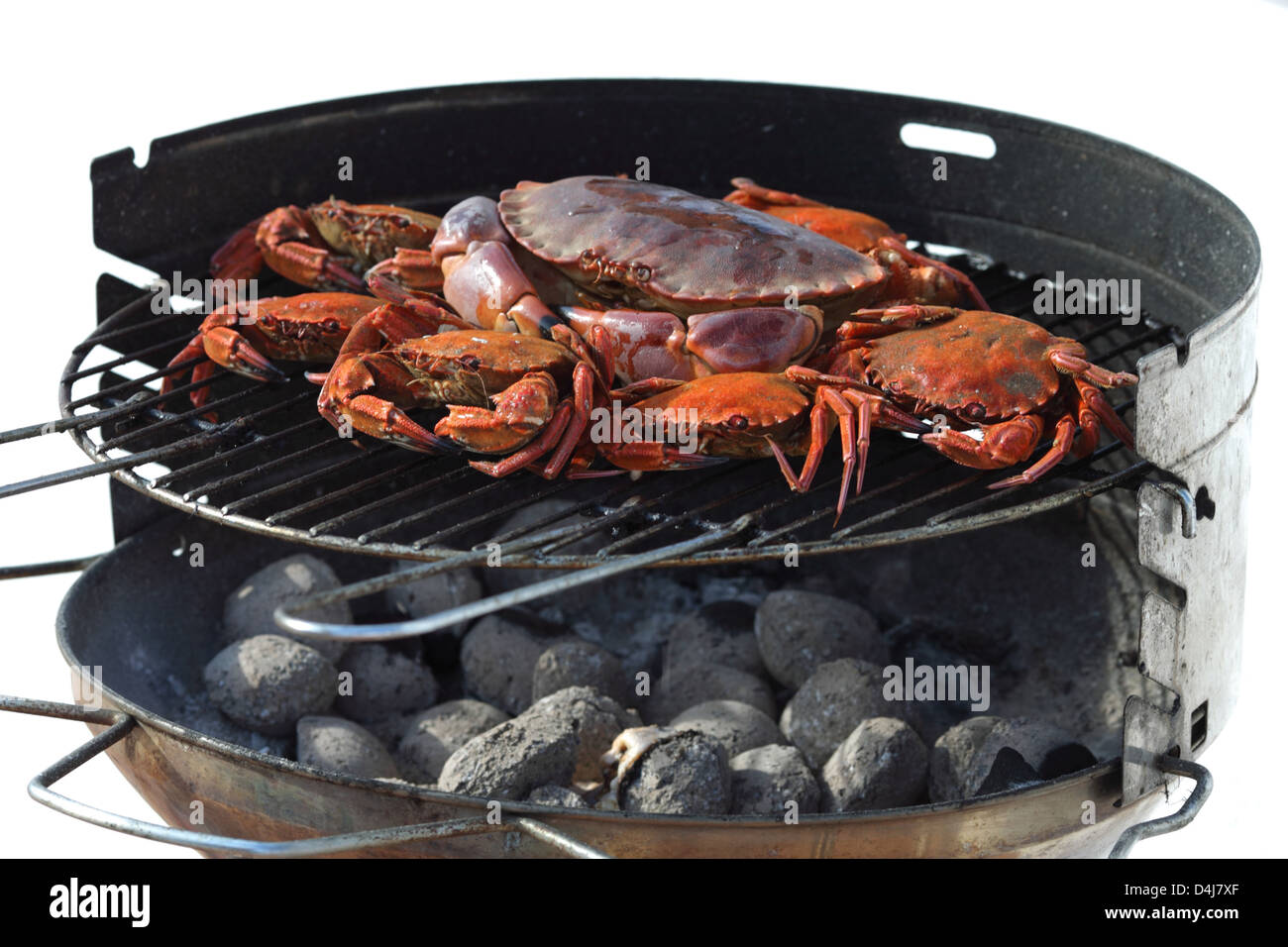crab on charcoal grill Stock Photo Alamy