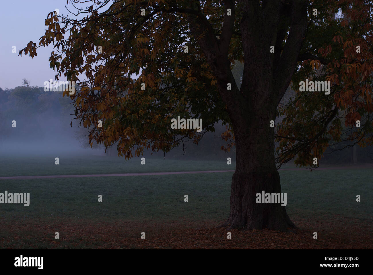 Weimar, Germany, the autumnal park on the Ilm in the morning mist Stock Photo