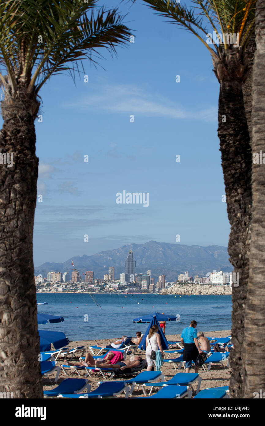 View between two palm trees on benidorm levante beach towards bali hotel on a sunny day with blue sunbeds Stock Photo