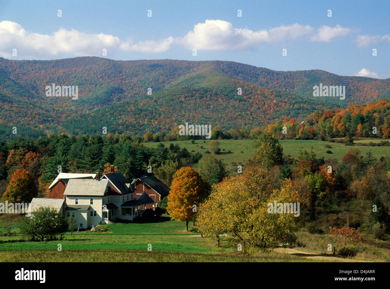 Elk280-1695 Vermont, Pownal, farm and barn with autumn foliage Stock ...