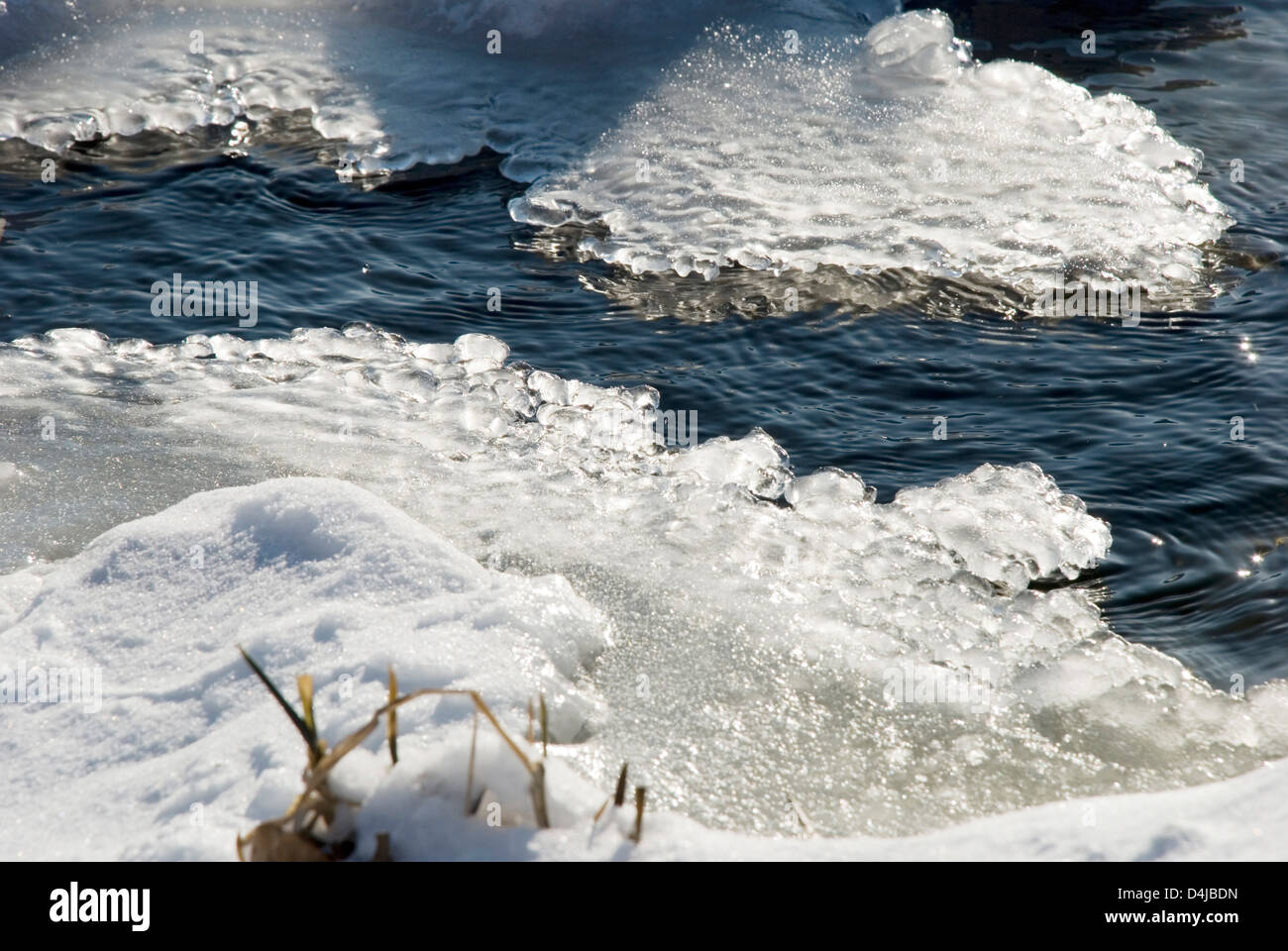 Melting ice in water at Springtime Stock Photo - Alamy