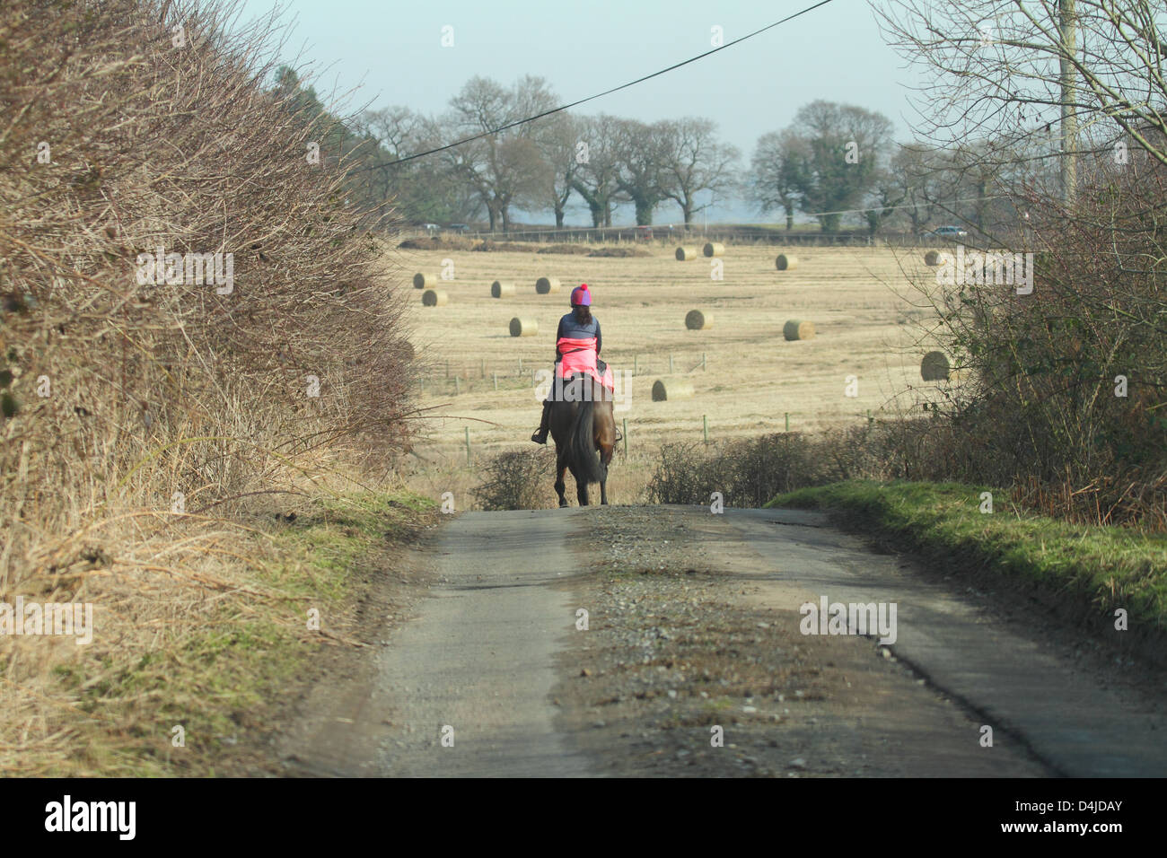Horse rider on country lane hi-res stock photography and images - Alamy