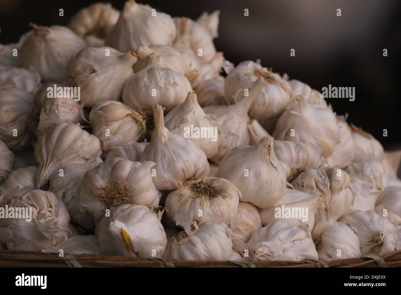 garlic in market Stock Photo