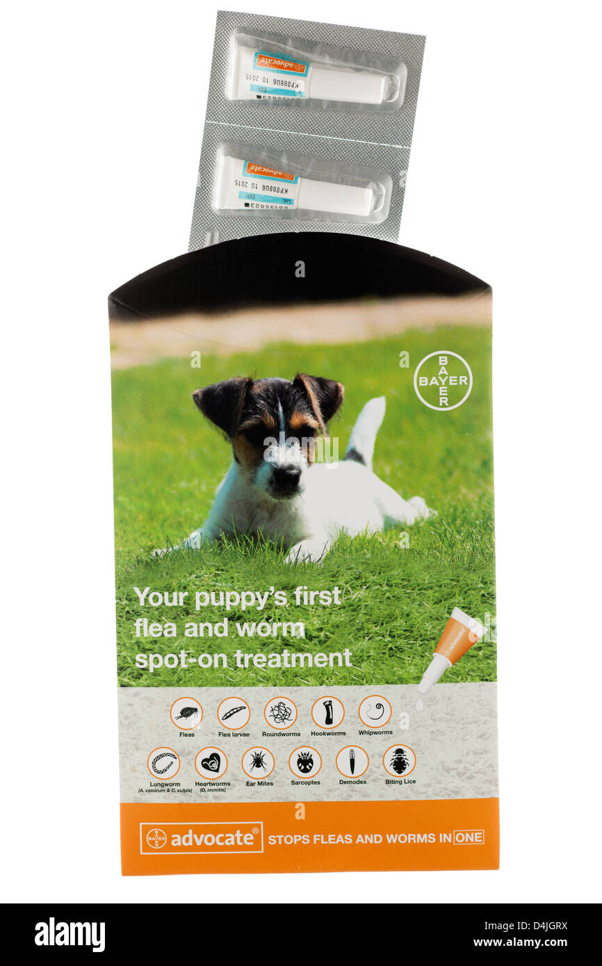 Advocate bayer best sale demodex