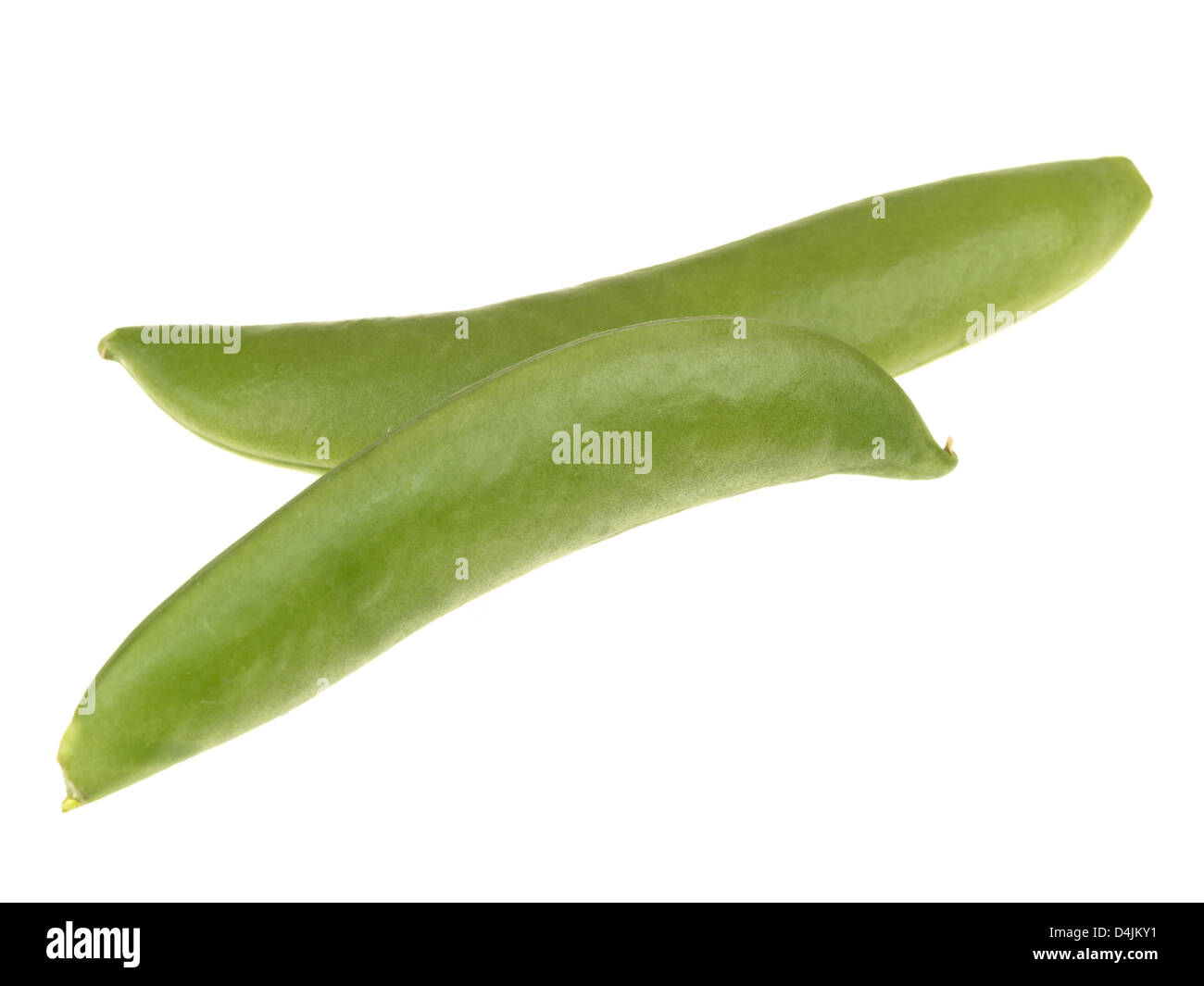 Fresh Ripe Healthy Natural Garden Peas In Pods, Ready To Eat, Isolated Against White Background, With Clipping Path, No People Stock Photo