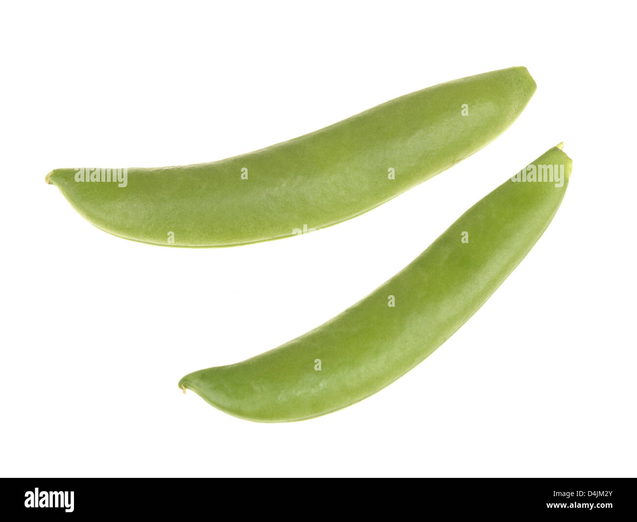 Fresh Ripe Healthy Natural Garden Peas In Pods, Ready To Eat, Isolated Against White Background, With Clipping Path, No People Stock Photo