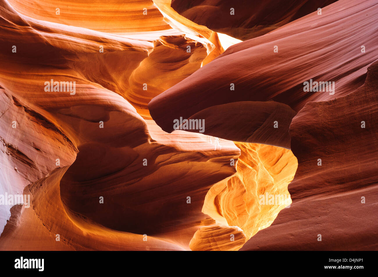 Glowing sandstone in Lower Antelope Slot Canyon, Page, Arizona, USA Stock Photo