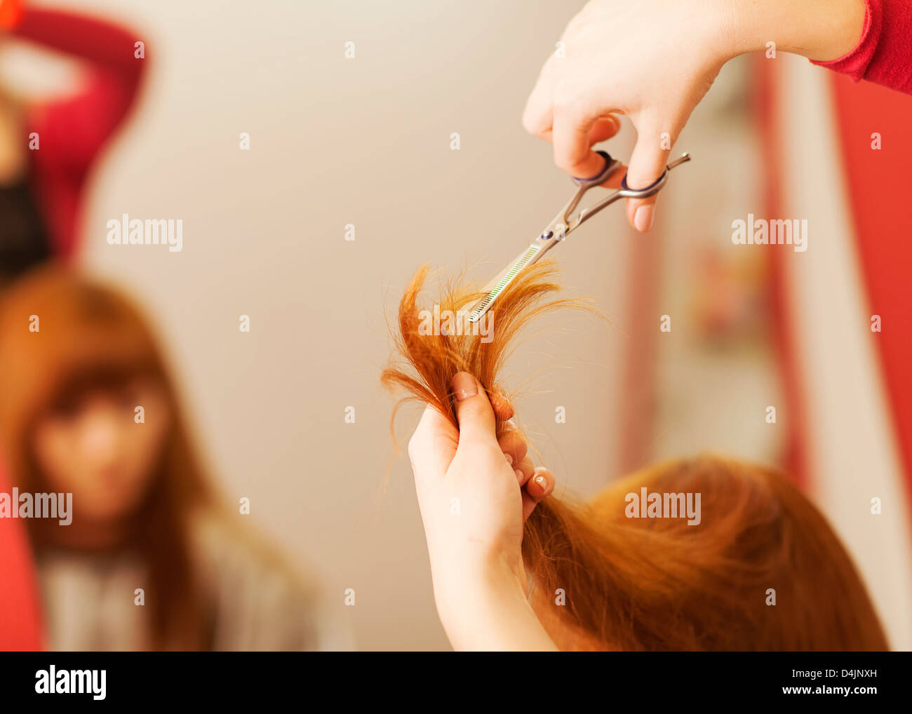 Hairdresser cutting client's hair in beauty salon Stock Photo