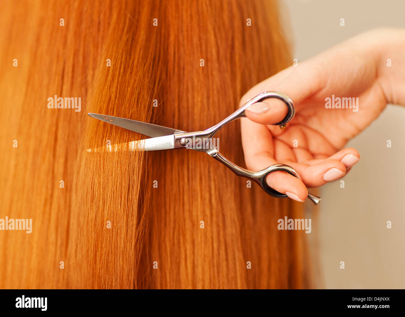 Woman hair scissors hires stock photography and images Alamy