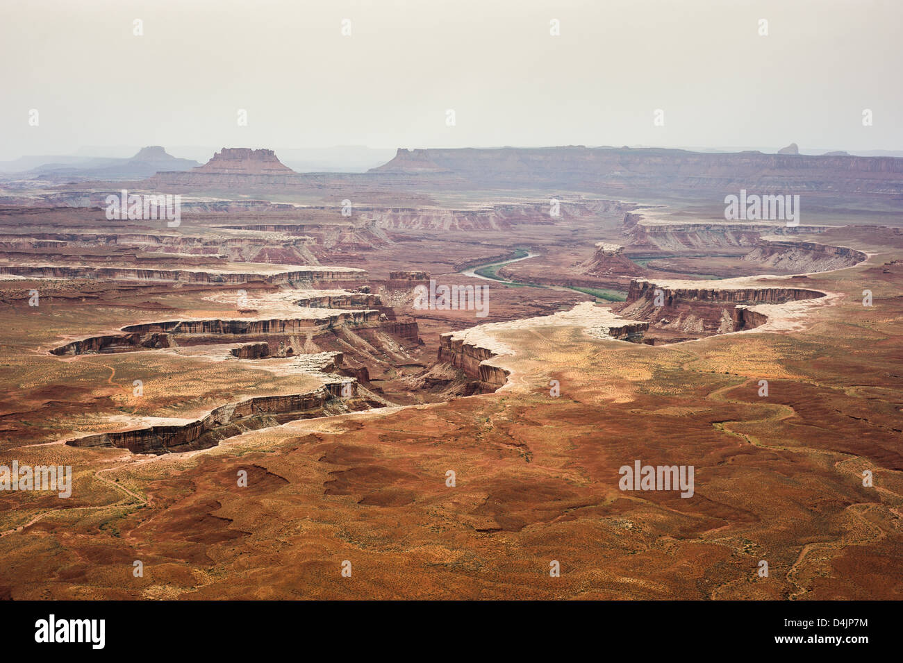 View of distant canyons from Island of the Sky in Canyonlands National Park, Utah, USA Stock Photo