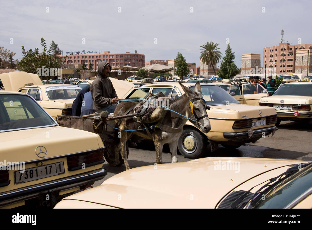 Morocco, Marrakech, Daily life Stock Photo - Alamy