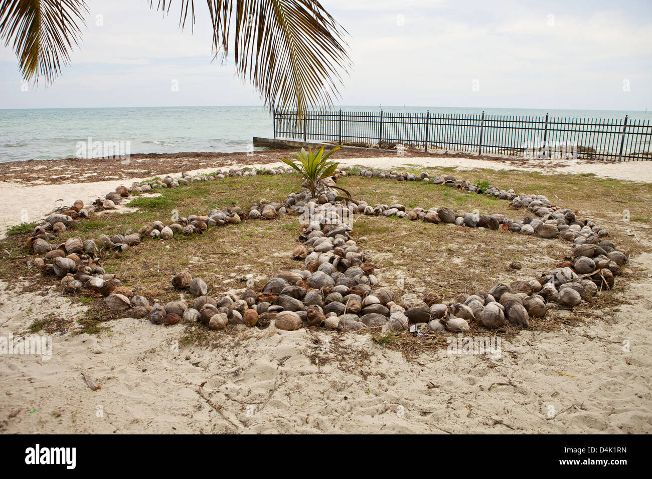 Peace sign made of coconuts on the beach in Key West Stock Photo Alamy