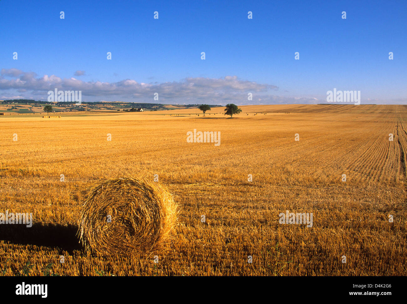 Bale france hires stock photography and images Alamy