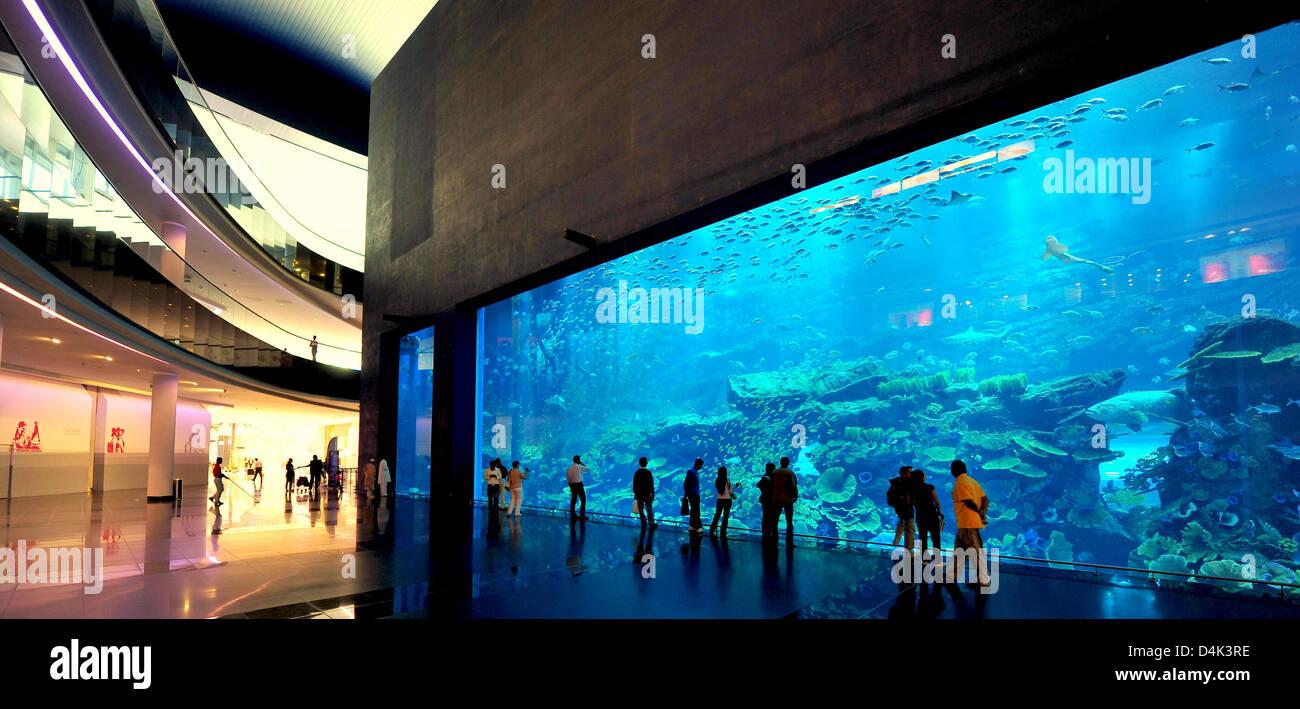 The picture shows an huge aquarium in a luxury mall in Dubai