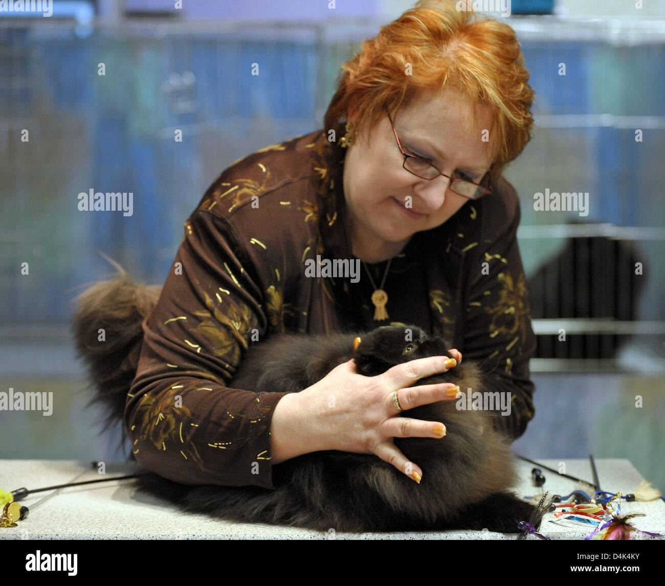 Judge Rachel Anger inspects a Persian at the 36th International Cat