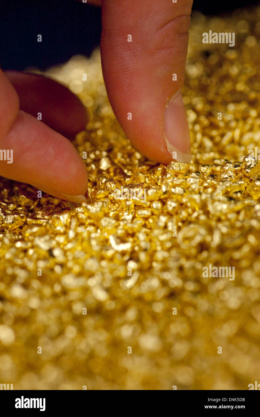 The picture shows gold granule that was melted from old gold at the Heraeus gold workmanship in Hanau, Germany, 26 March 2009. Gold granule can conveniently be manufactured into jewellery. Photo: Frank Rumpenhorst Stock Photo