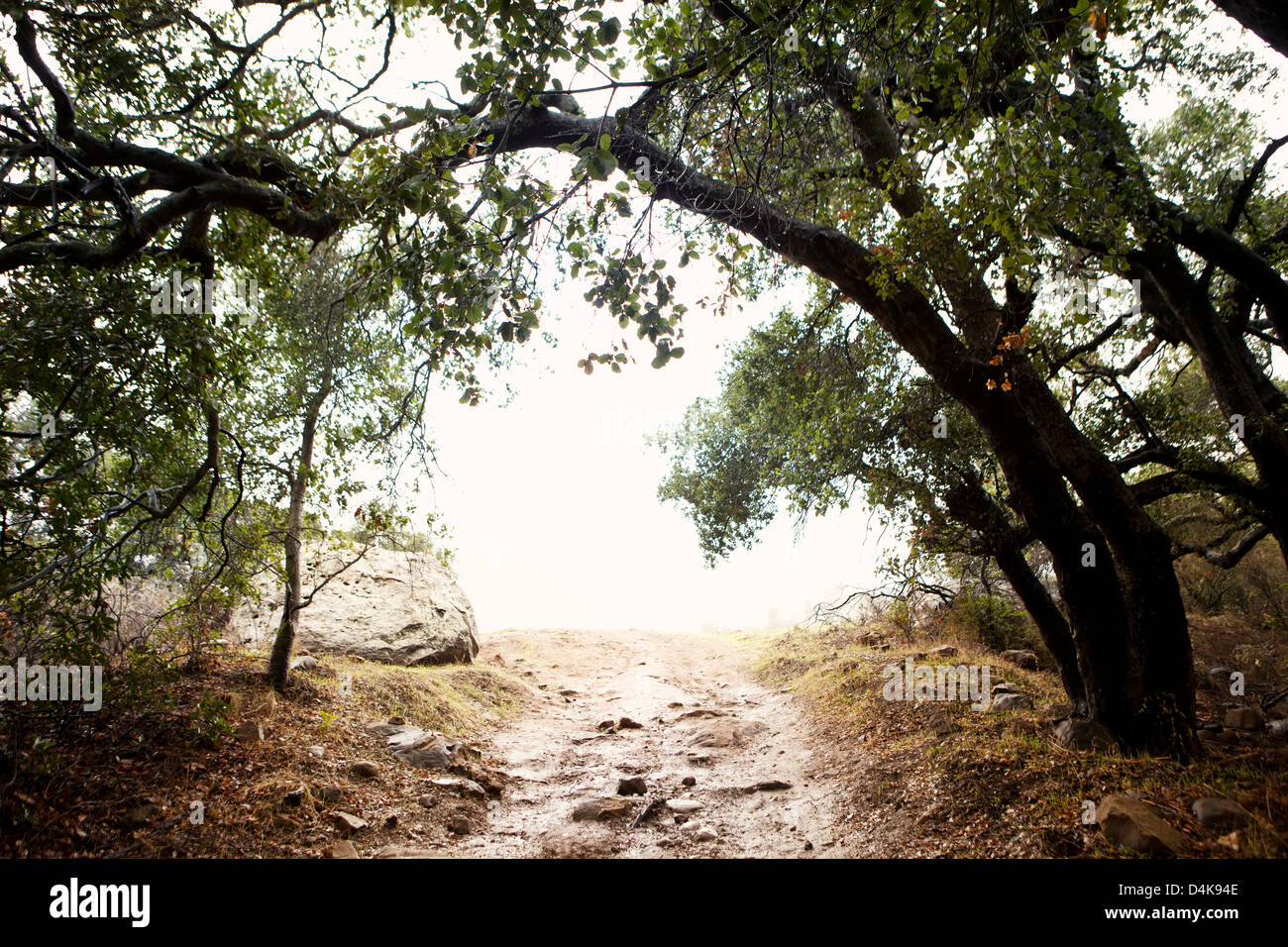 Dirt Road Stock Photos & Dirt Road Stock Images Alamy