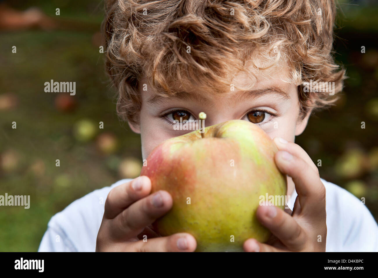 Close up of boy holding apple Stock Photo