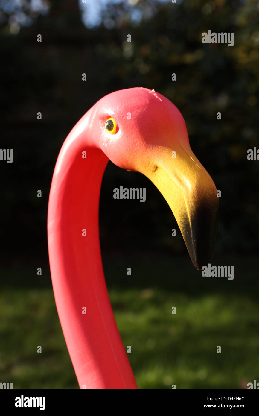 plastic flamingo head in garden Stock Photo