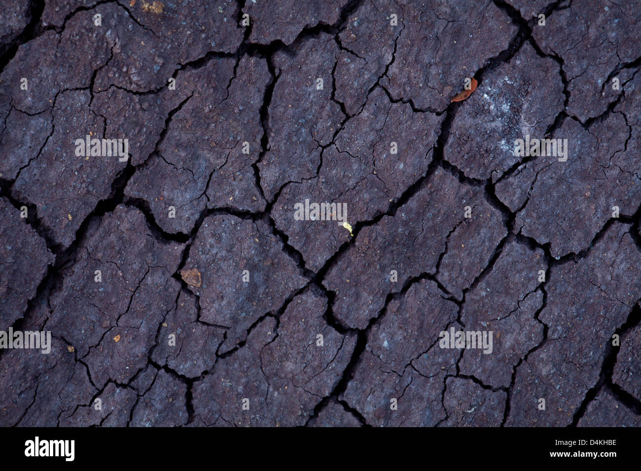 Cracked earth in Sarigua national park, Herrera province, Republic of Panama. Stock Photo
