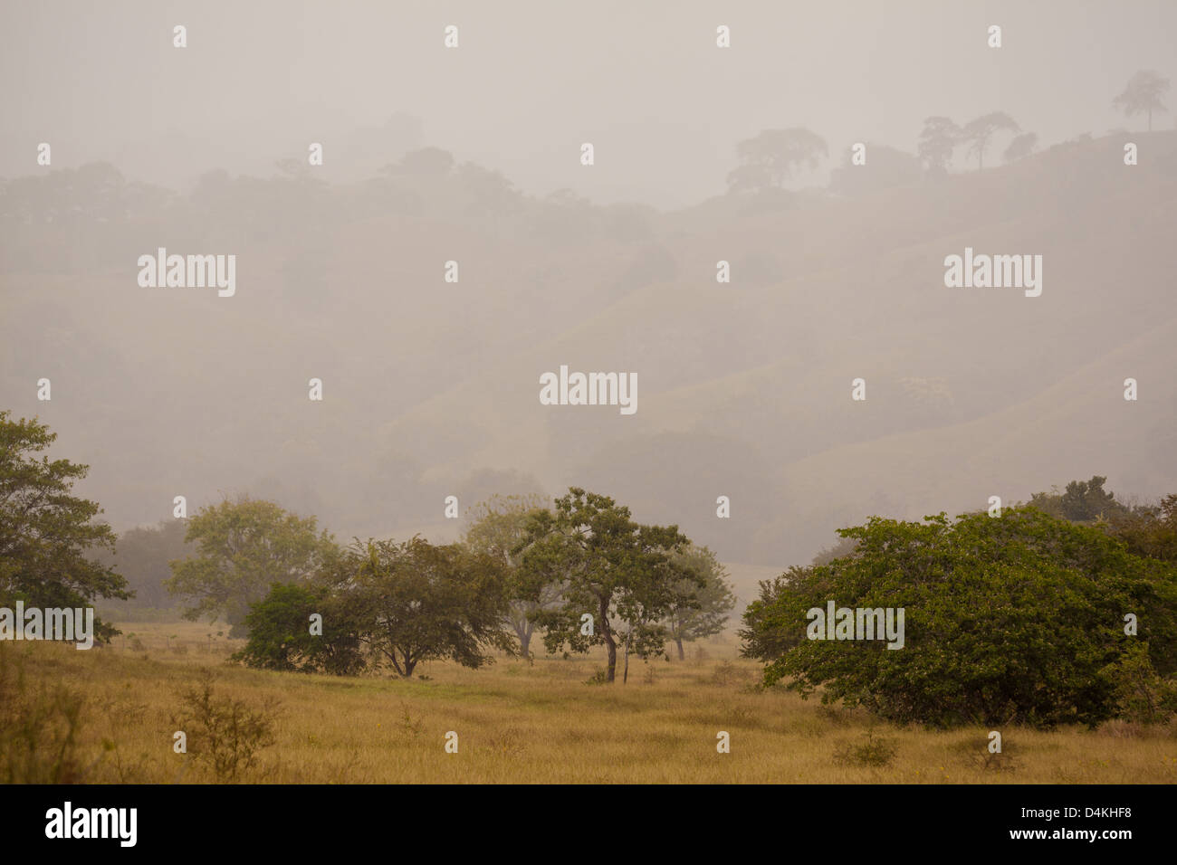 Misty landscape after rainfall near Tonosi, Los Santos province, Republic of Panama. Stock Photo
