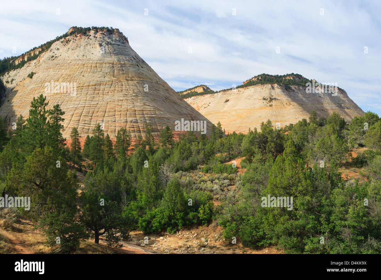 Checkerboard Mesa is located just east of the Zion National Park. Stock Photo