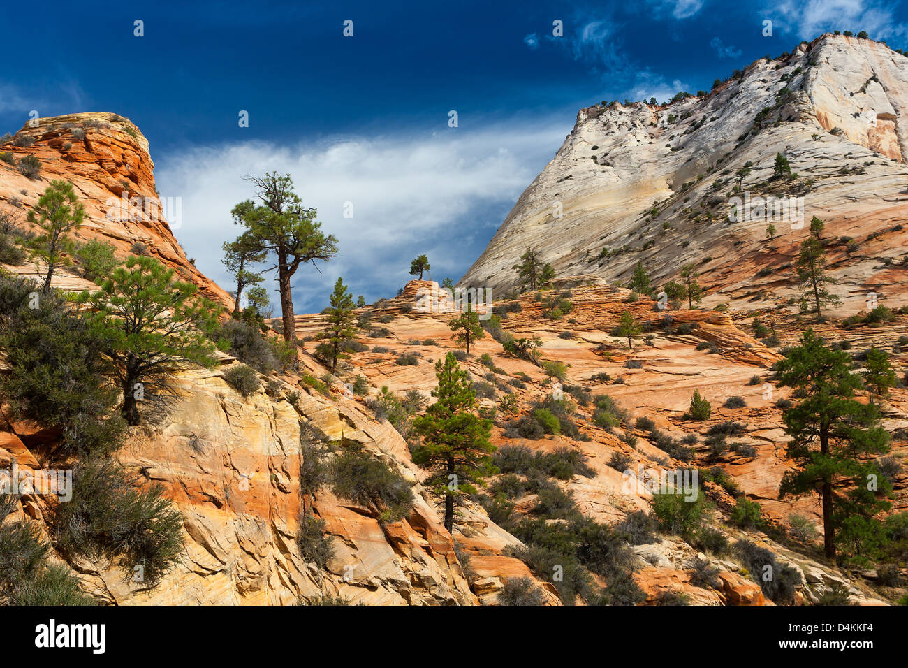 Rock formations in Zion National Park Stock Photo