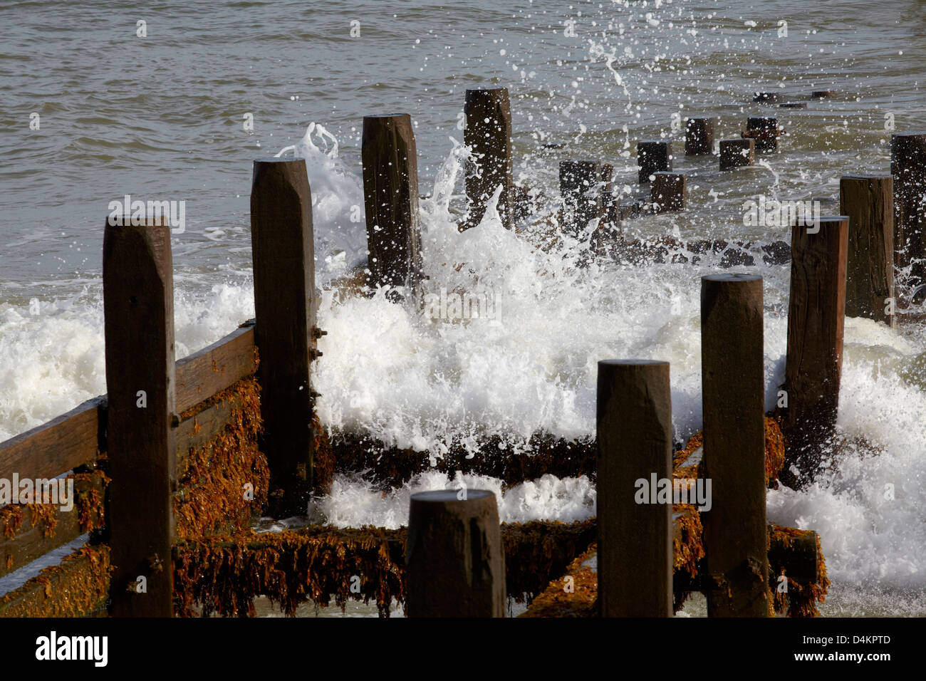 Waves breaking over the wooden groynes at Walcott Gap on the Norfolk coast, UK Stock Photo
