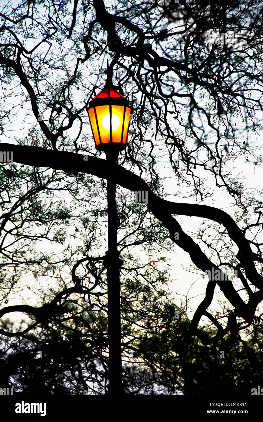 Lit old street lamp at sunset in Argentine. Stock Photo