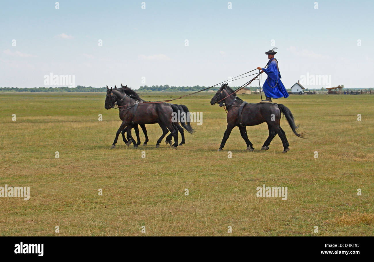 Display of horsemanship from gulyas (traditional herdsmen / cowboys) riding Hungarian horses. Hortobágy National Park, Hungary Stock Photo