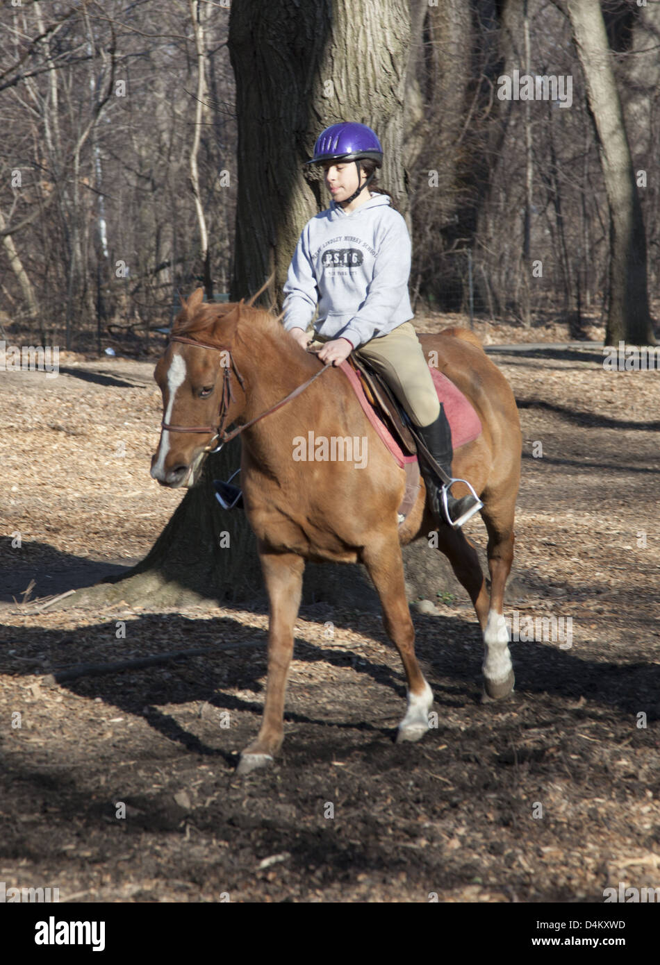 Teenage girl rides a horse in Prospect Park, Brooklyn, NY Stock Photo