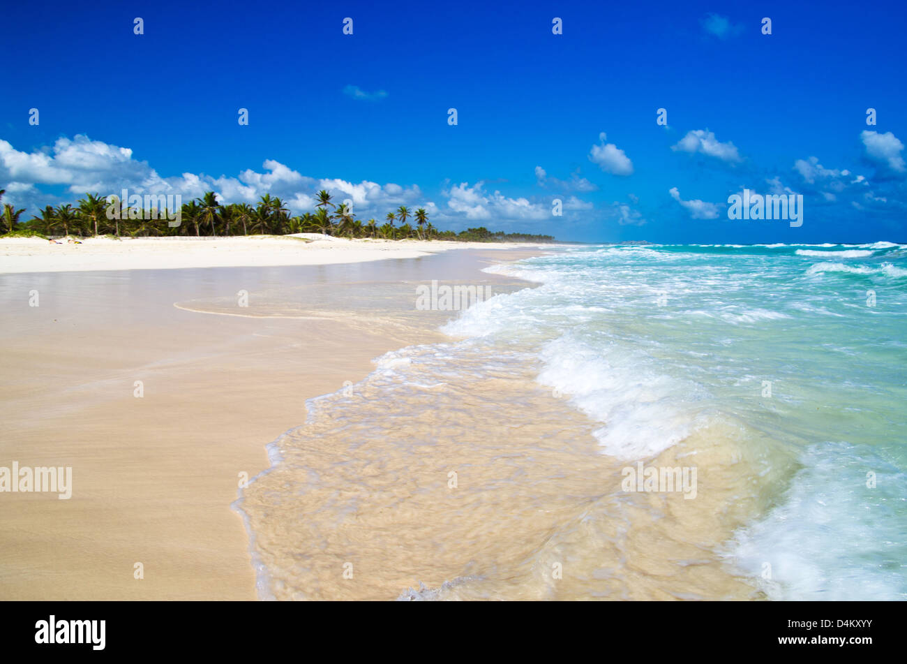 beautiful blue caribbean sea beach Stock Photo