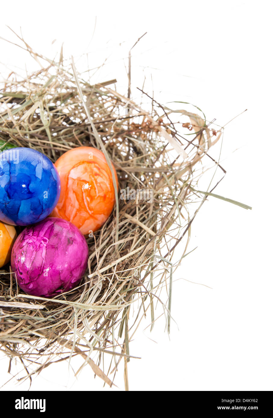Nest with Easter Eggs isolated on white background Stock Photo - Alamy