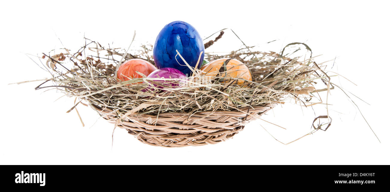 Nest with Easter Eggs isolated on white background Stock Photo - Alamy