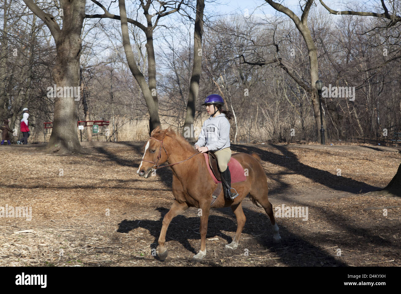 Teenage girl rides a horse in Prospect Park, Brooklyn, NY Stock Photo