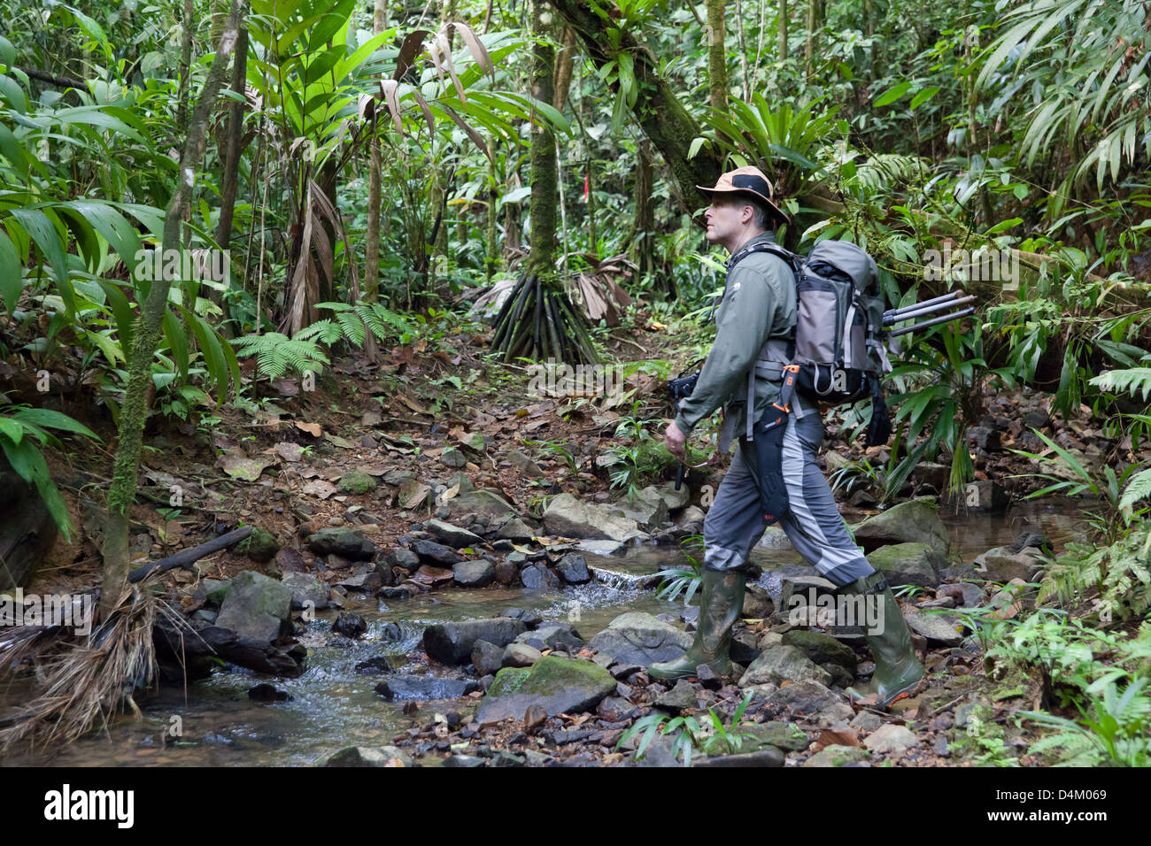 Nature photographer Øyvind Martinsen explores Burbayar nature reserve, Panama province, Republic of Panama. Stock Photo