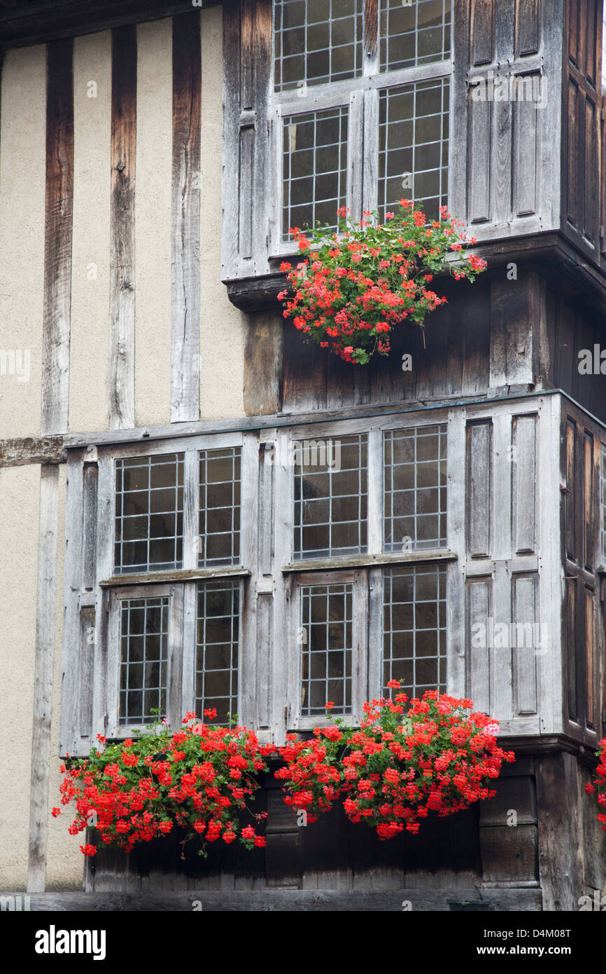 Traditional wooden windows with red geraniums in window boxes of a ...