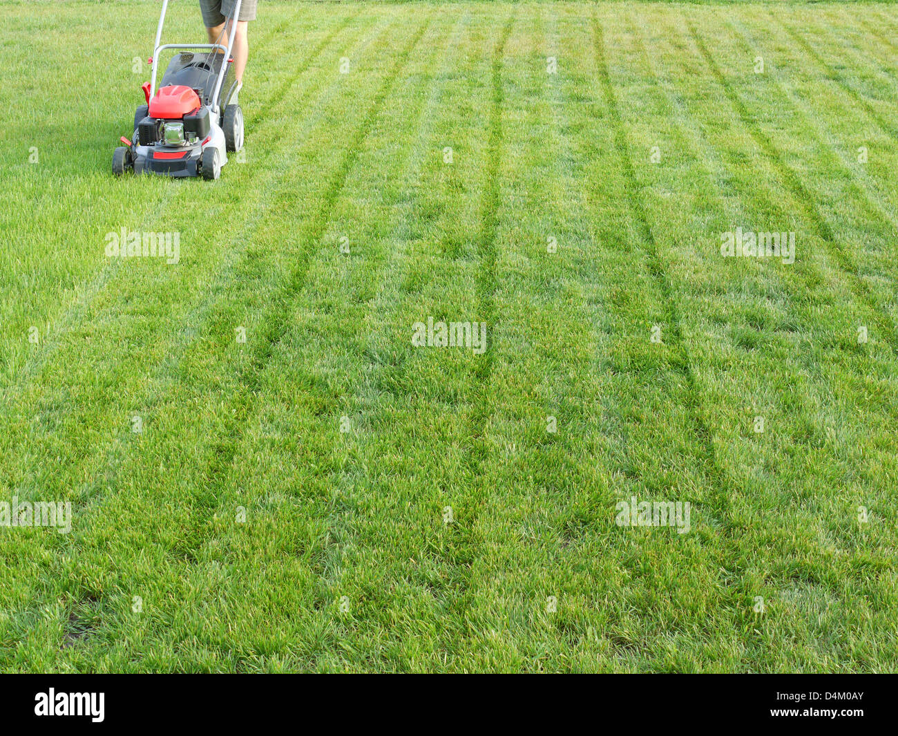 Man mowing grass with grass-mower Stock Photo