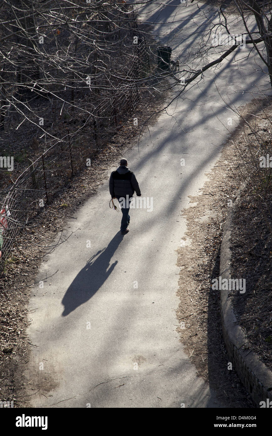 Man walks with dog off the leash in Prospect Park on a late winter afternoon; Brooklyn; NY Stock Photo