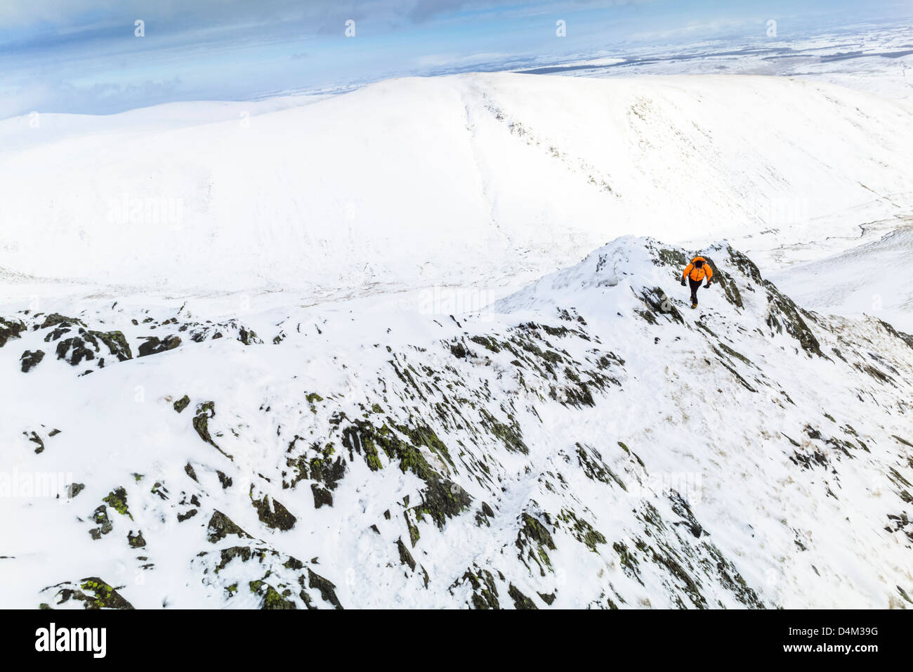 A climber ascending Sharp Edge towards the summit of Blencathgra (Saddleback) in the Lake District. Stock Photo