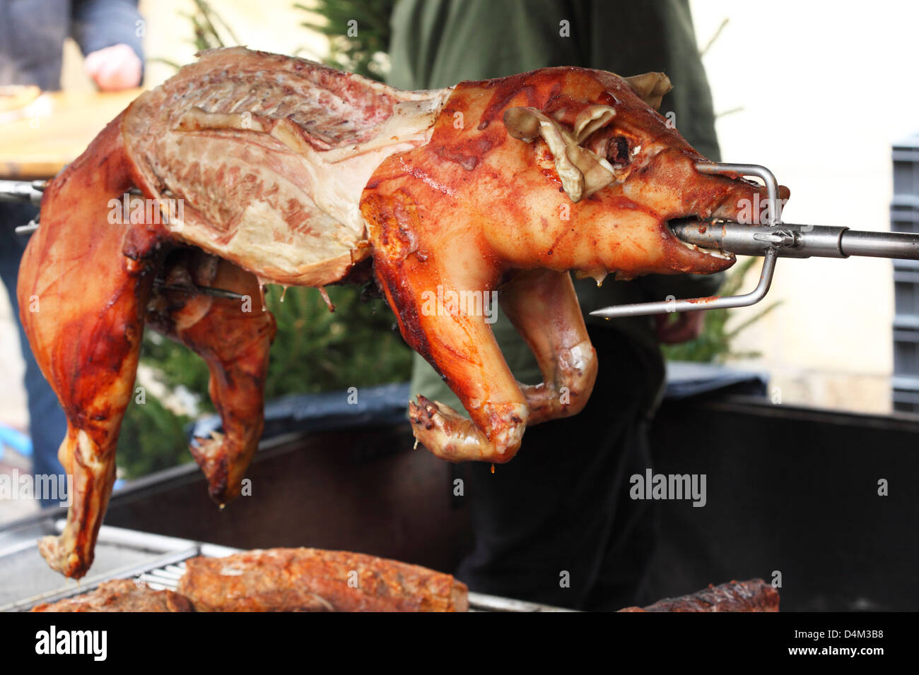 A roast piglet on a spit at the Christmas Market (Weihnachtsmarkt) in Esslingen, Germany. Stock Photo
