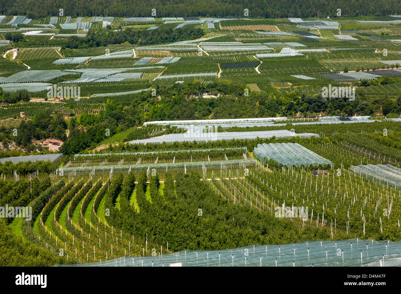 Aerial view of crop fields Stock Photo - Alamy